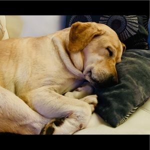 Meet your Posher, Candice